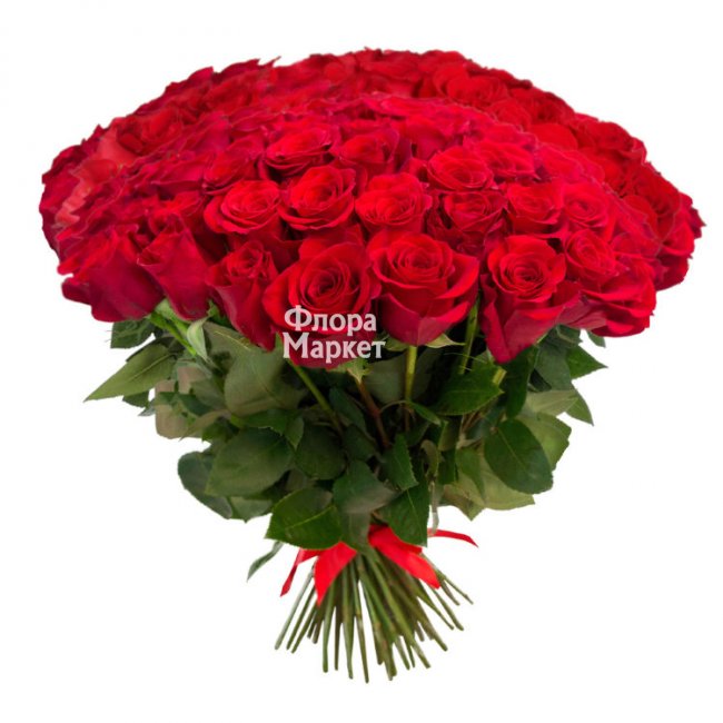 Страсть чувств - 71 красная роза в Петрозаводске от магазина цветов «Флора Маркет»