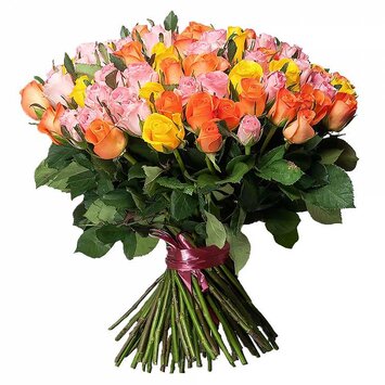 71 роза радужный микс