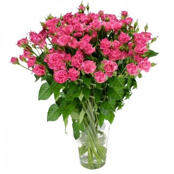 Теплые объятия