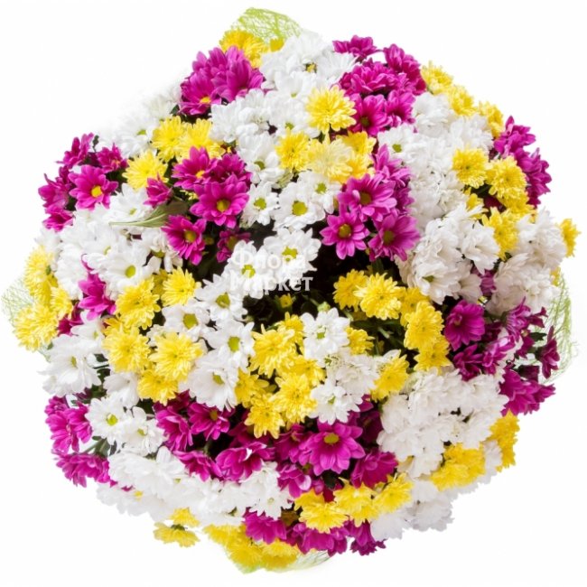 Букет разноцветный микс хризантем в Петрозаводске от магазина цветов «Флора Маркет»