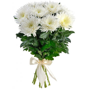Букет хризантем «Семья»