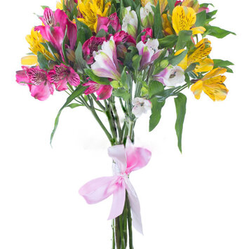 Альстромерии микс