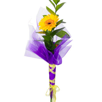 Лапочка; Герберы под заказ