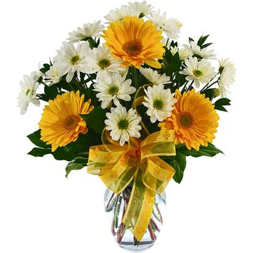 Для настроения; Герберы под заказ