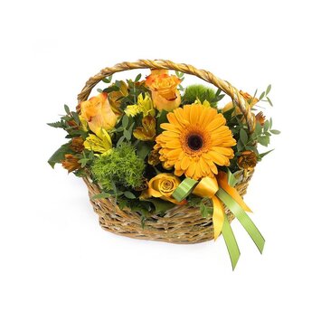 Утреннее солнышко; Герберы под заказ