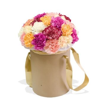 Микс гвоздик