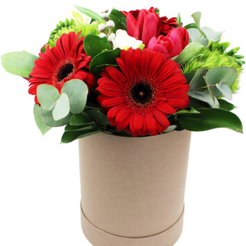 Летний набор