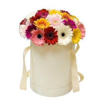 Микс гербер в коробке; Герберы под заказ