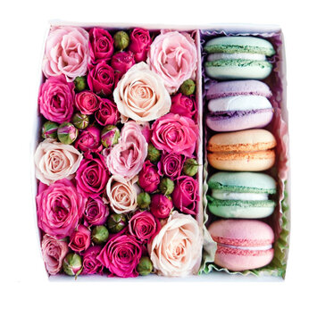 Радужное утро