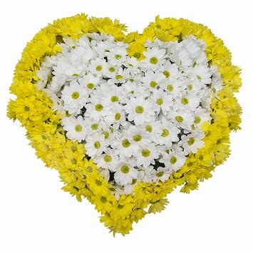 Солнечное сердце