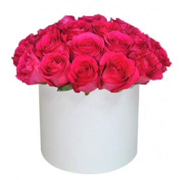 Розовый фламинго