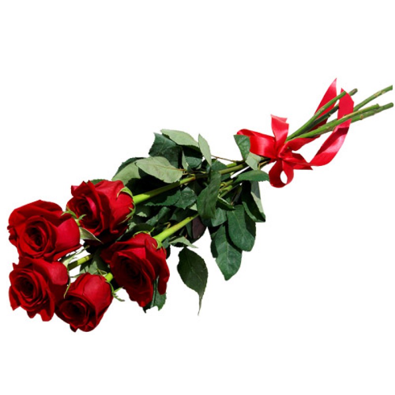 5 красных роз от интернет-магазина «» в 