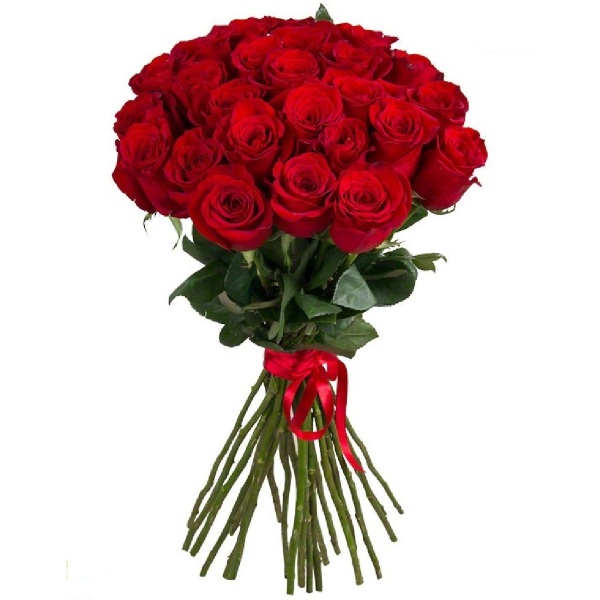 Алый закат - 25 роз от интернет-магазина «» в 