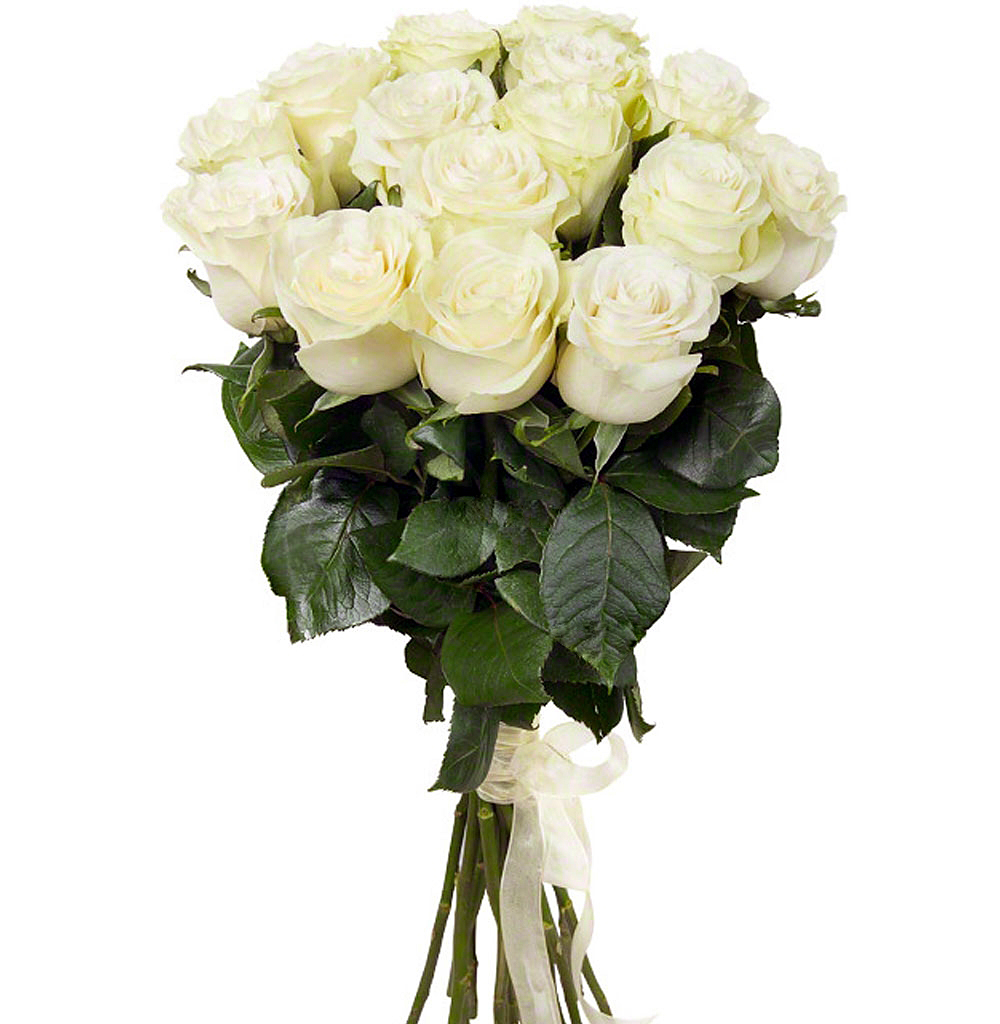 15 белых роз в букете - Милой от интернет-магазина «» в 