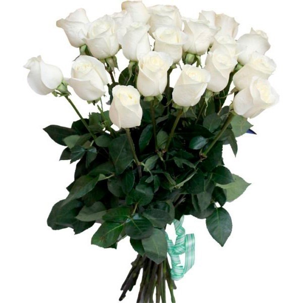 Свежий взгляд - 21 роза от интернет-магазина «» в 