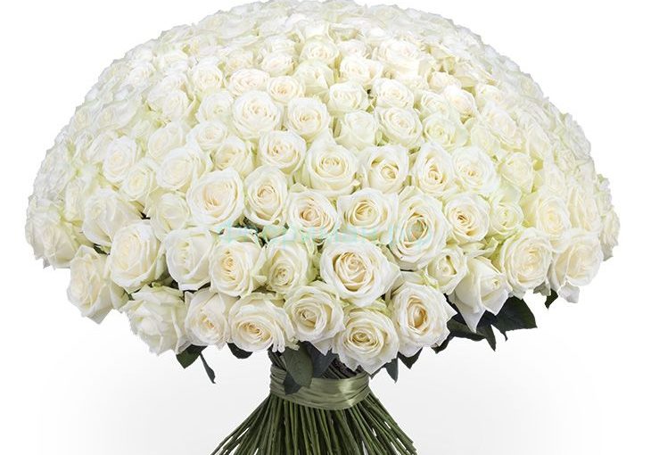 Невероятный от интернет-магазина «» в 