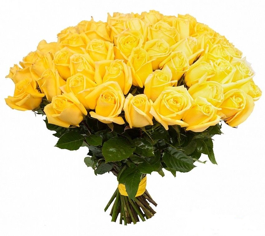 Волшебство чувств - 71 роза от интернет-магазина «» в 