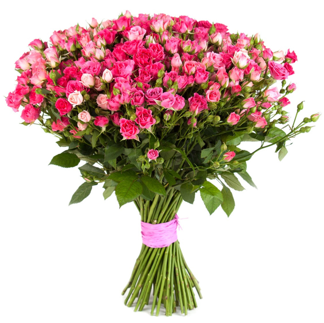 101 кустовая розовая роза для любимой от интернет-магазина «» в 