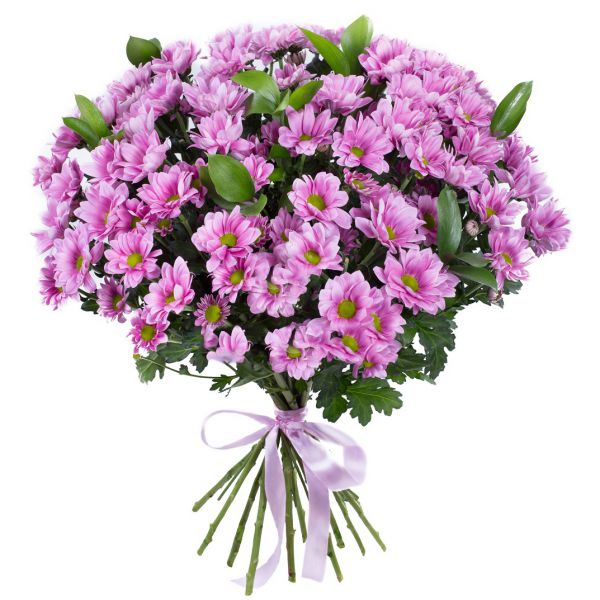 Сиреневый закат от интернет-магазина «» в 