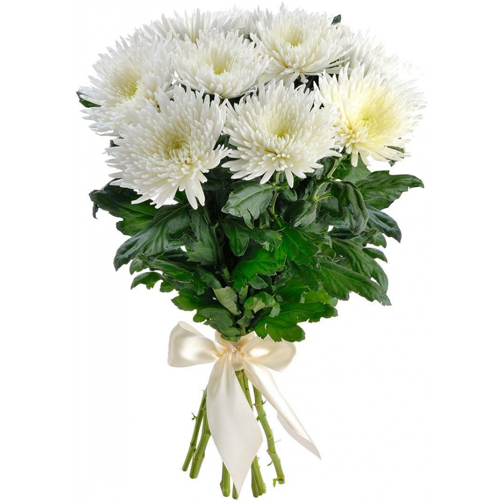 Букет хризантем «Семья» от интернет-магазина «» в 