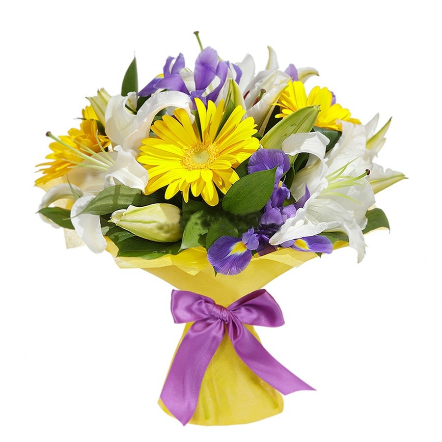 Солнечный вечер от интернет-магазина «» в 