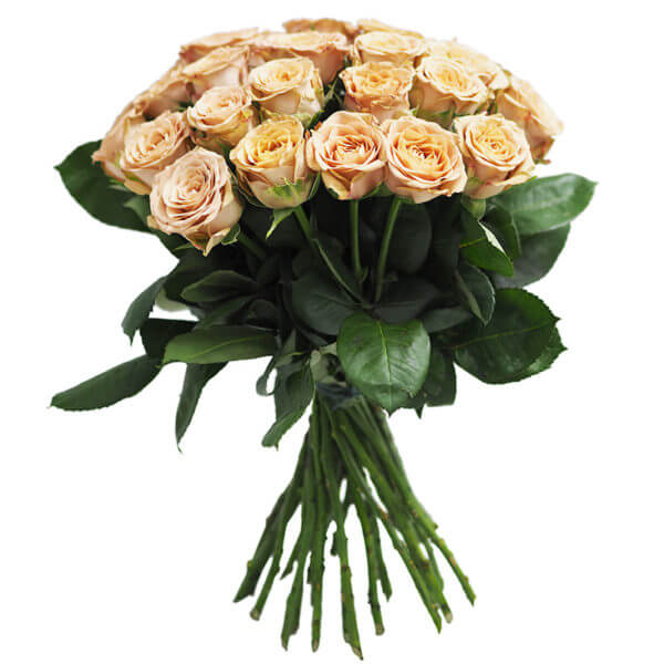 Букет из роз сорта Кофе брейк от интернет-магазина «» в 