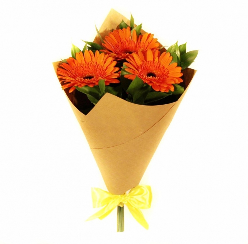 Оранж от интернет-магазина «» в 