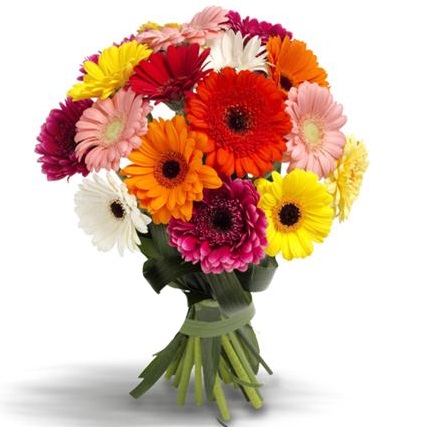 Букет гербер 15шт «Тик-так» от интернет-магазина «» в 