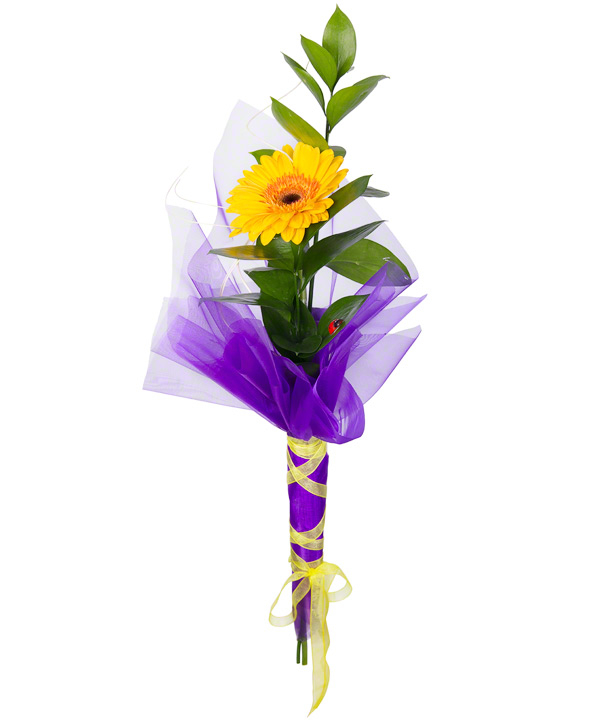 Лапочка от интернет-магазина «» в 