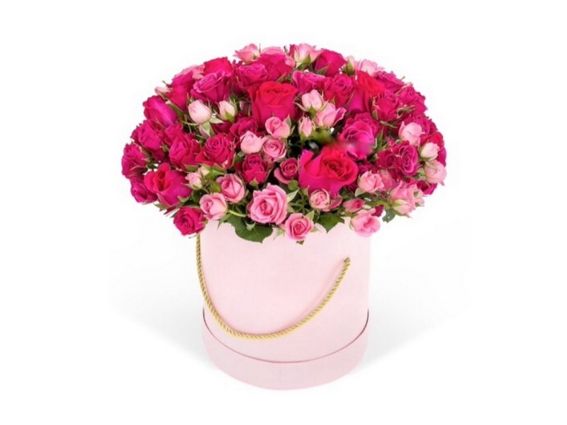 51 кустовая в коробке от интернет-магазина «» в 