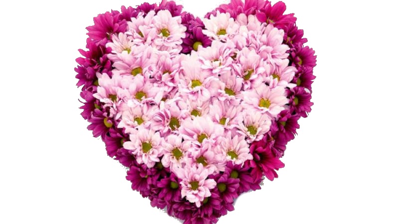 Сиреневая любовь от интернет-магазина «» в 