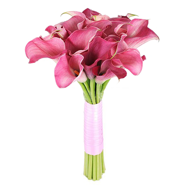 Недотрога от интернет-магазина «» в 