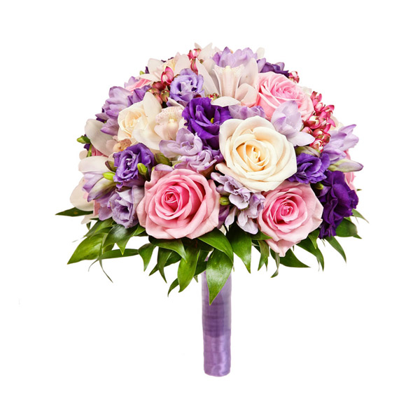 Браво от интернет-магазина «» в 