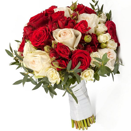 Прованс от интернет-магазина «» в 