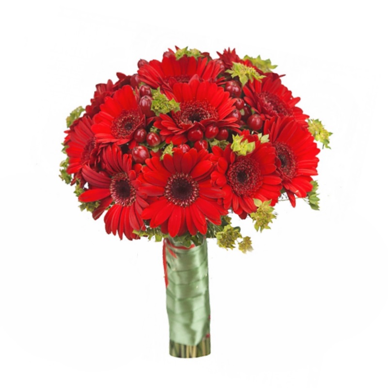 Фиона от интернет-магазина «» в 