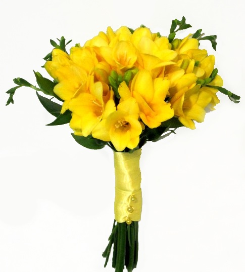 Солнечный день от интернет-магазина «» в 