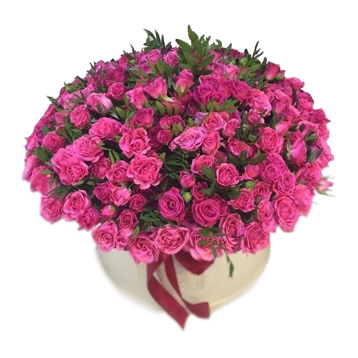 Ветер перемен от интернет-магазина «» в 