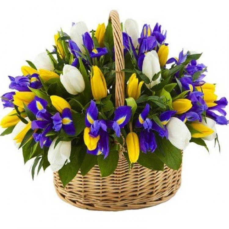 Рандеву от интернет-магазина «» в 